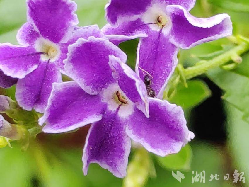 彩霸王论坛28057
